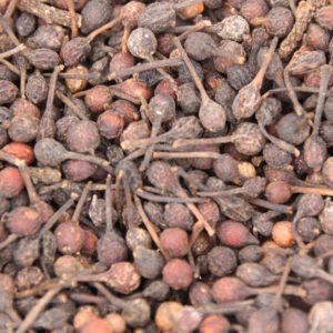 Poivre sauvage de Madagascar